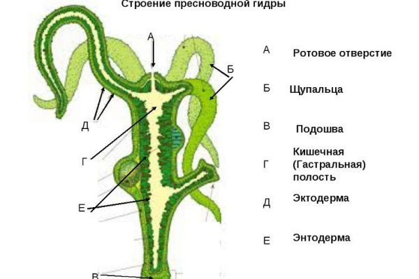 Услуги даркнета